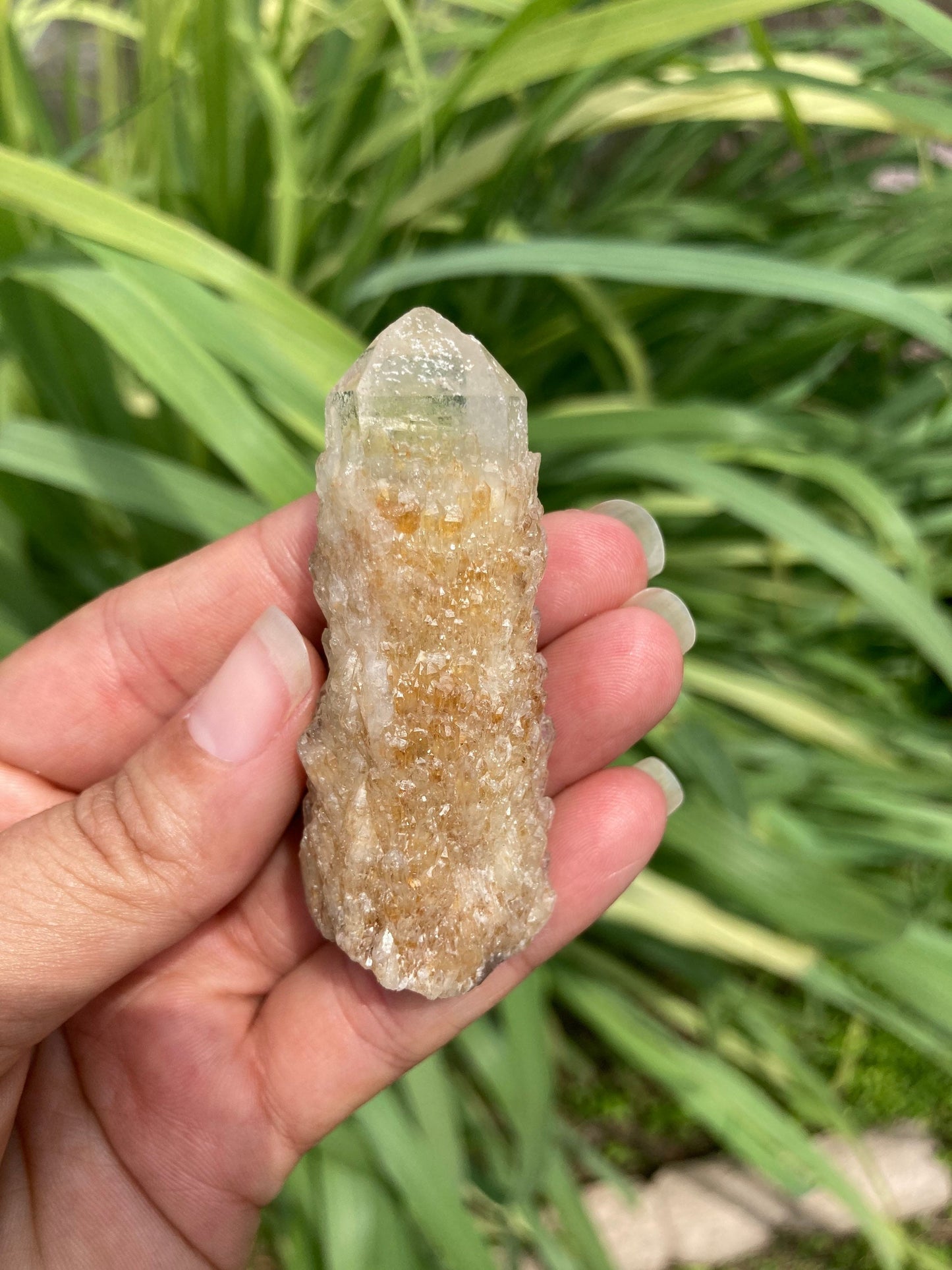 Real ALL Natural Citrine Crystal 11