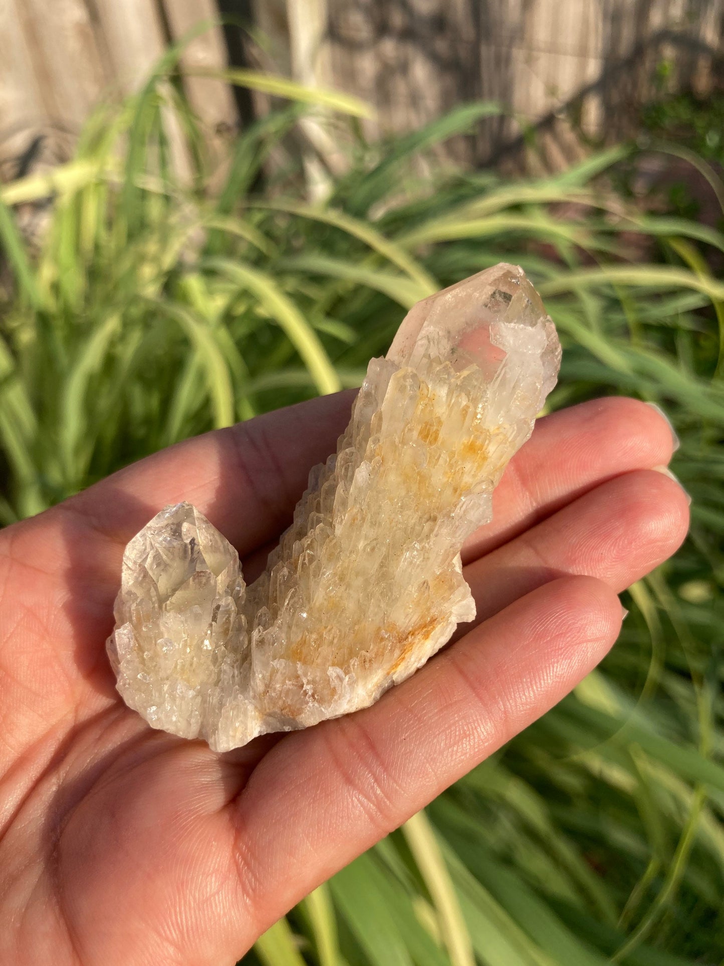 Real ALL Natural Citrine Crystal 15