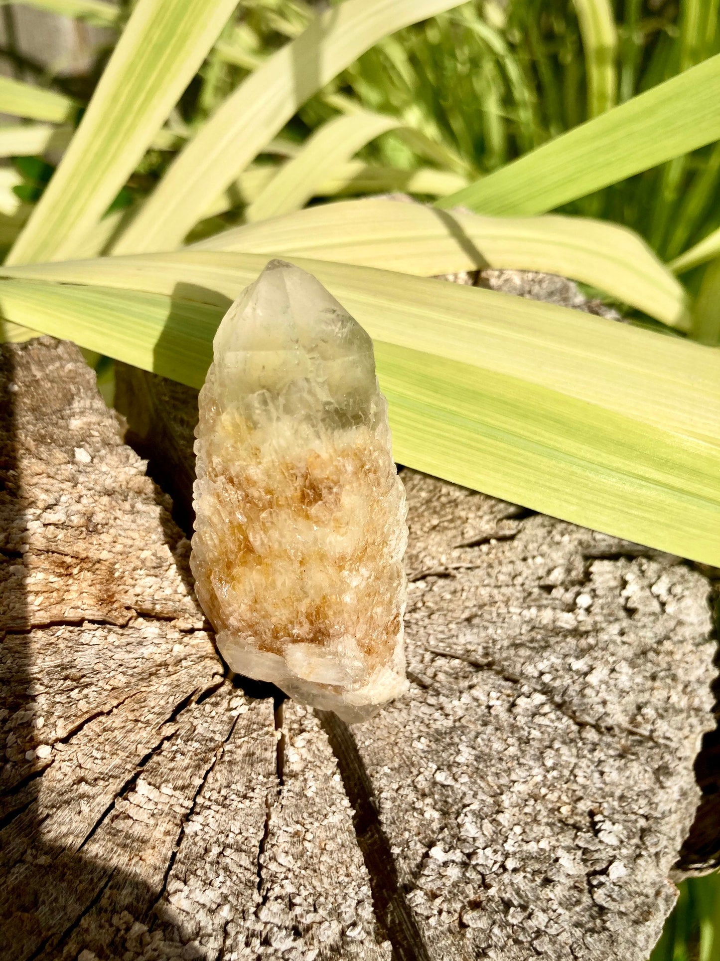 Real ALL Natural Citrine Crystal 18