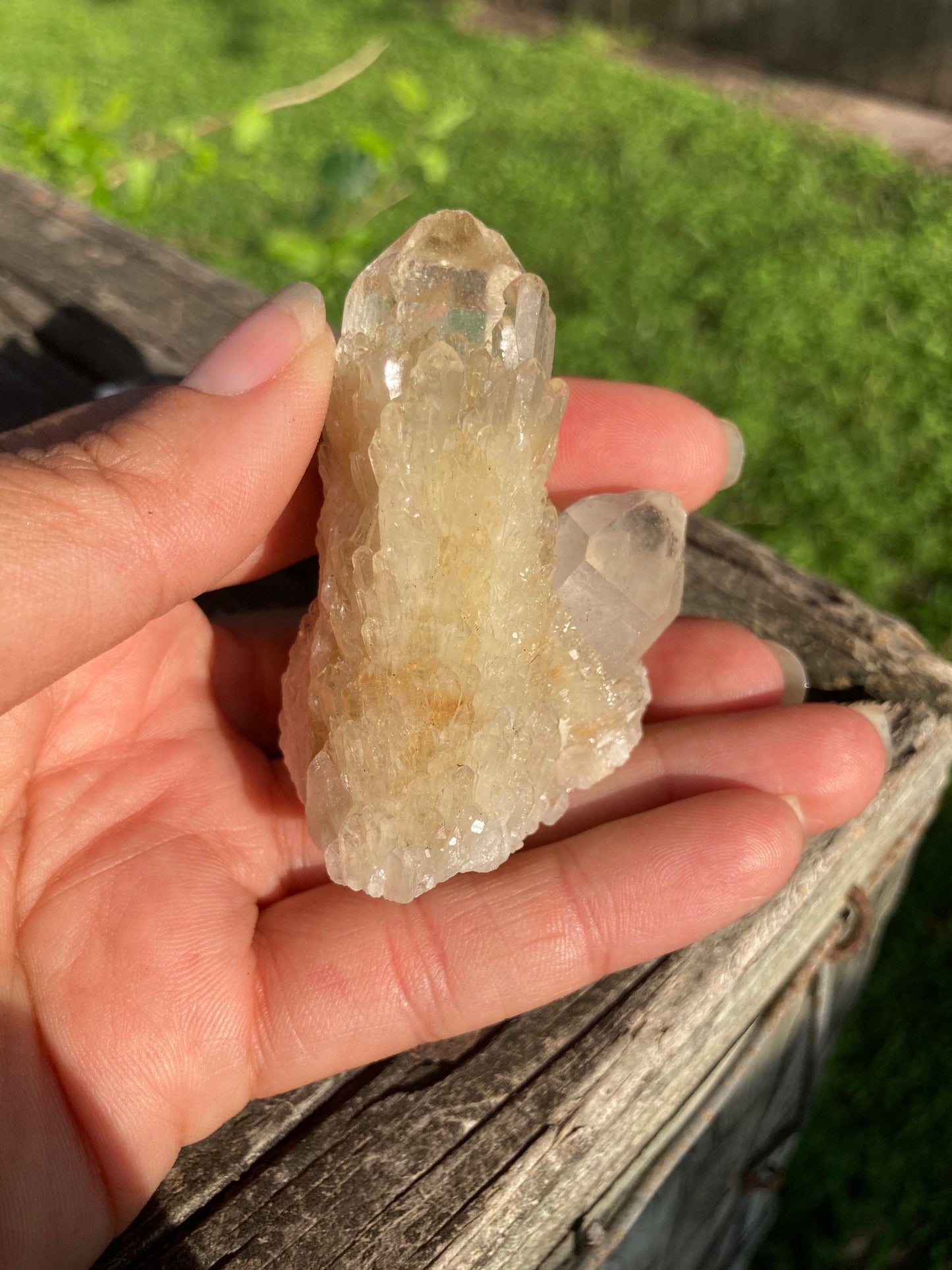 Real ALL Natural Citrine Crystal 5