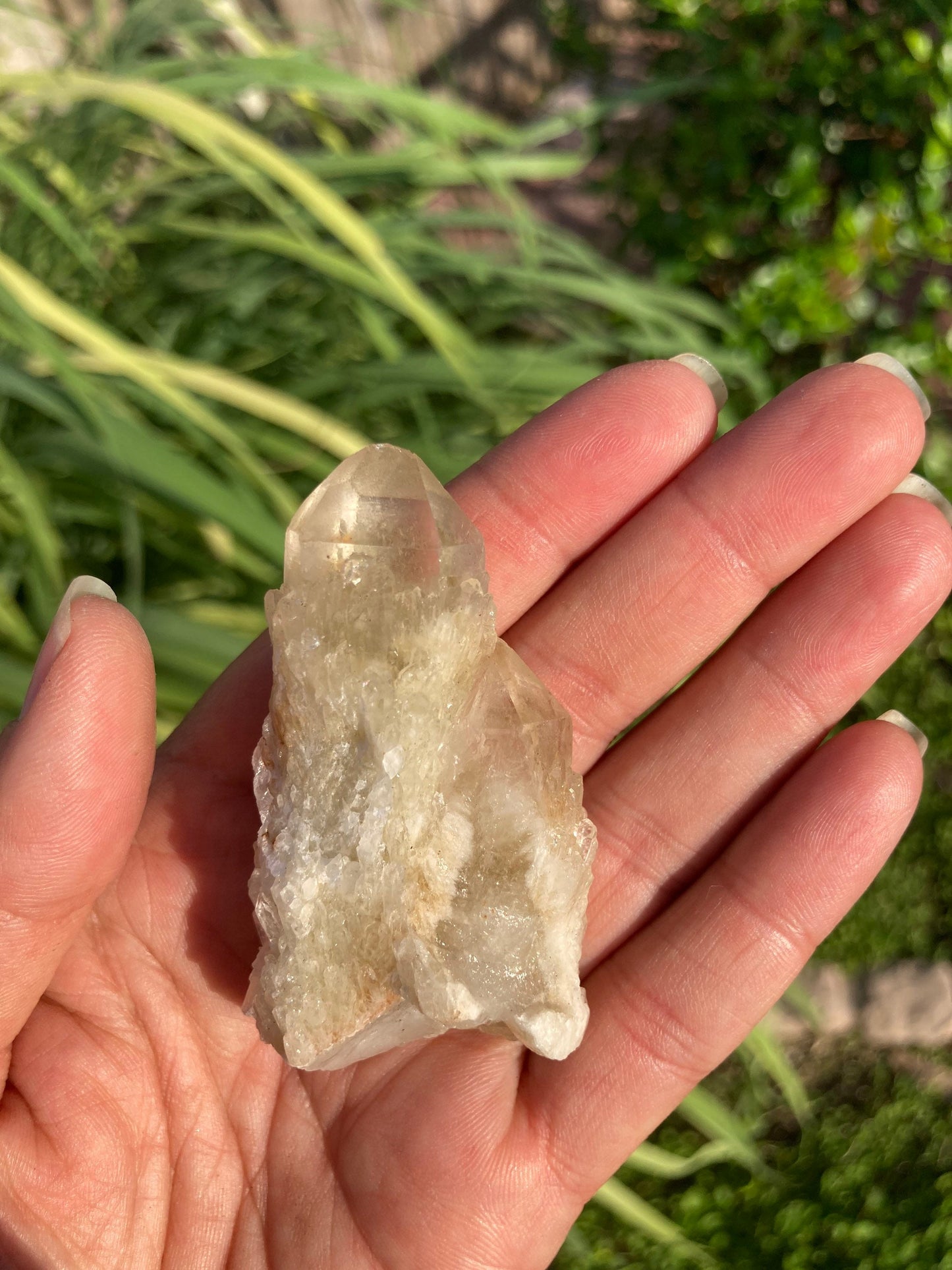 Real ALL Natural Citrine Crystal 8