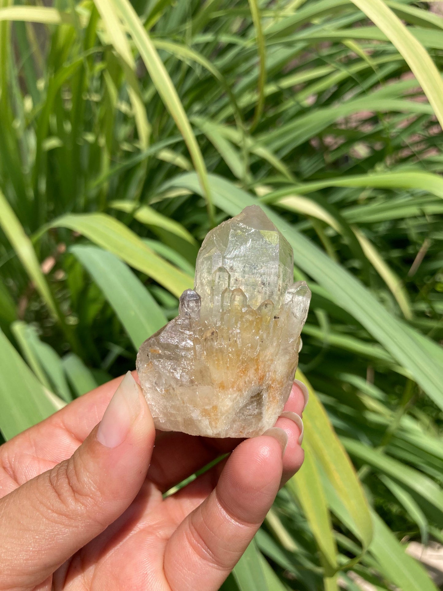Real ALL Natural Citrine Crystal 26