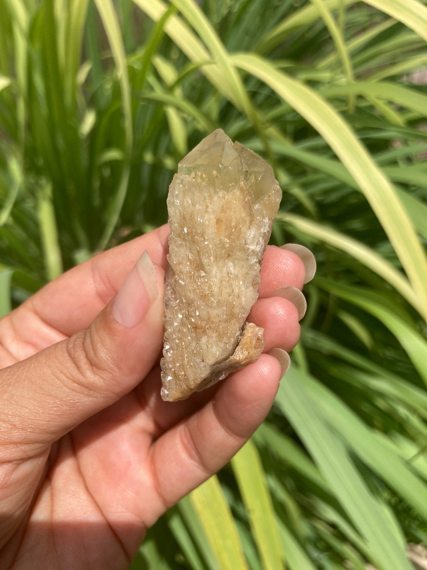 Real ALL Natural Soulmate Citrine Crystal 32