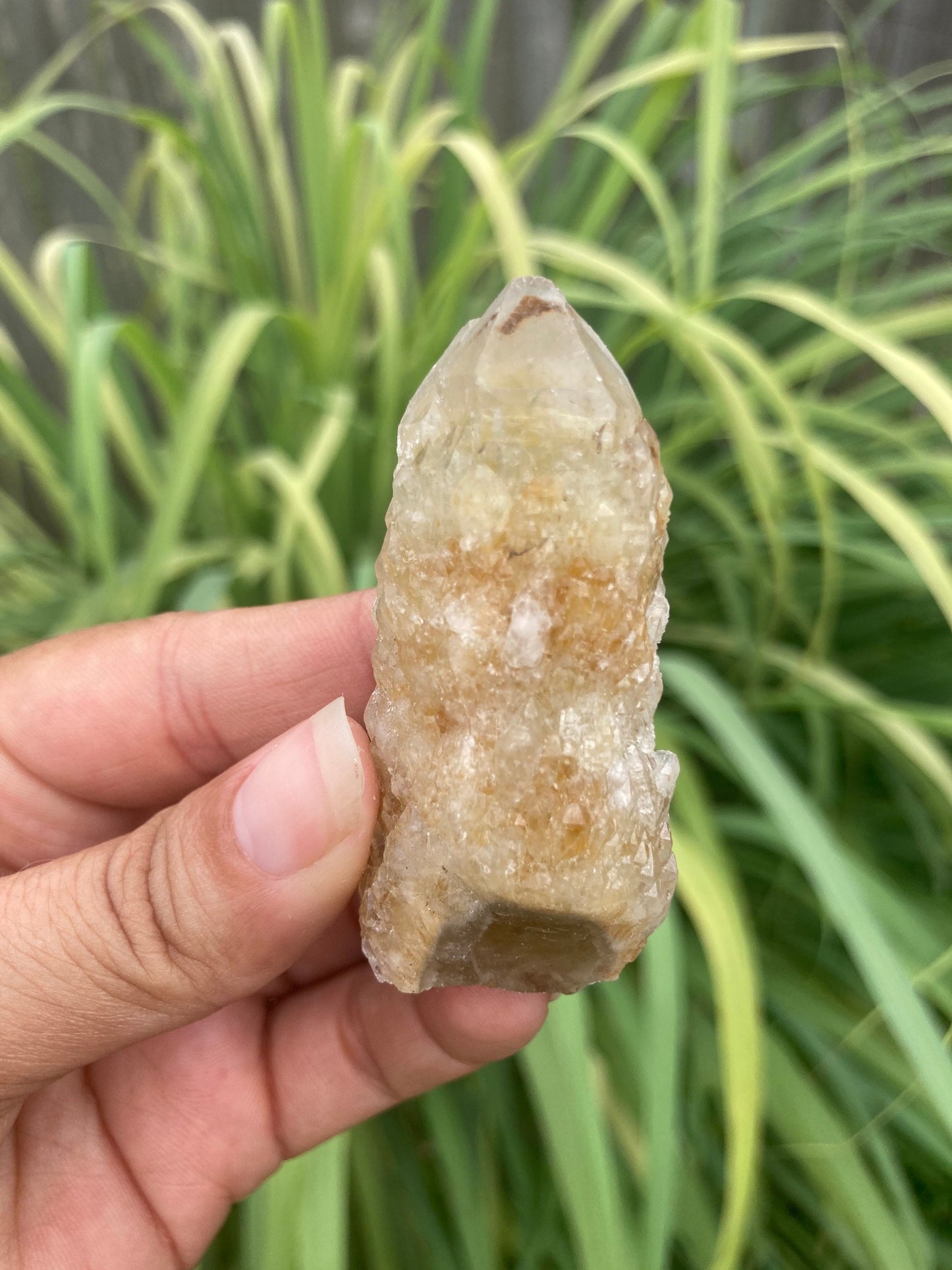 Real ALL Natural Soulmate Citrine Crystal 33