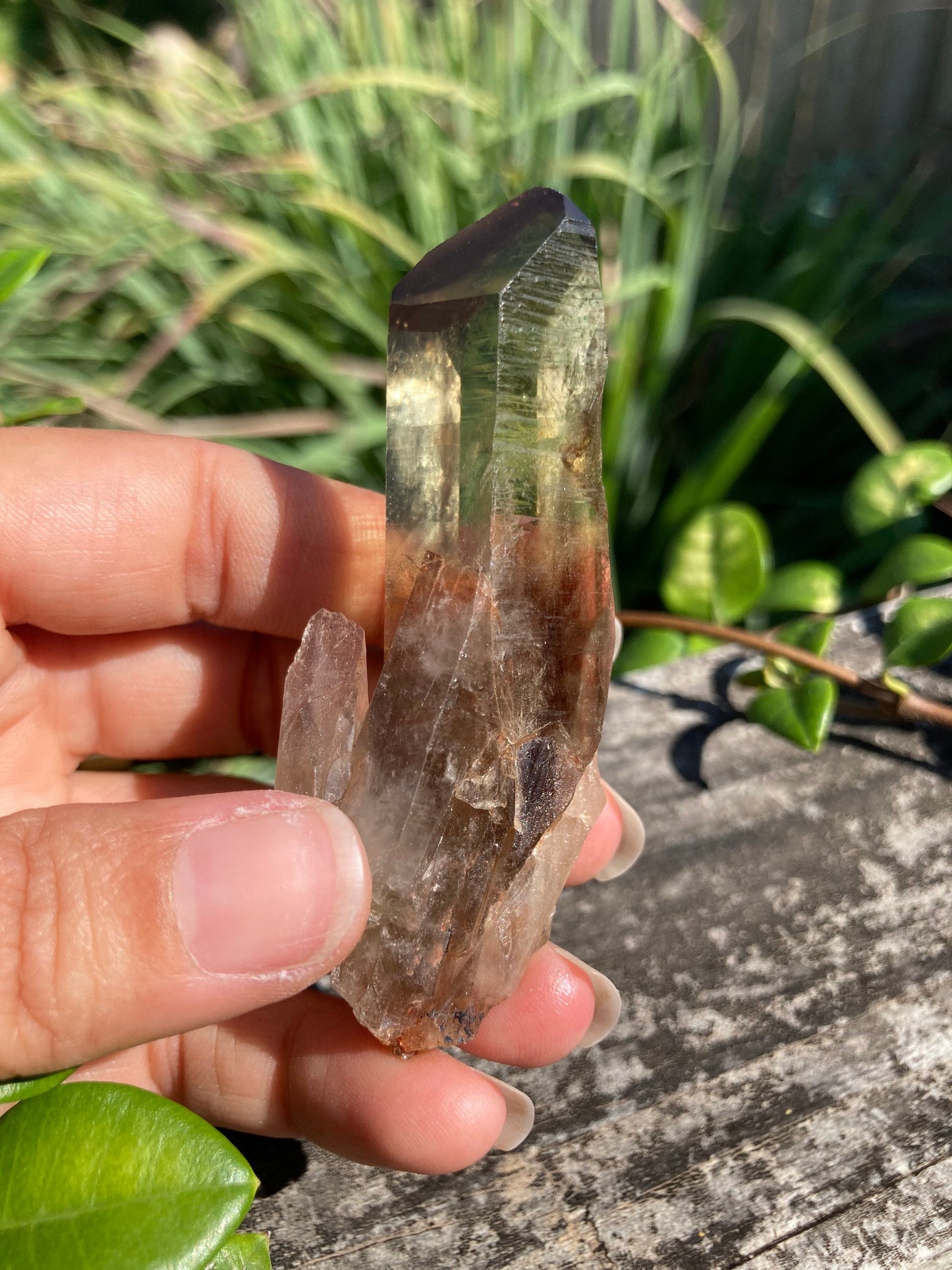 Real All Natural Citrine Point 5