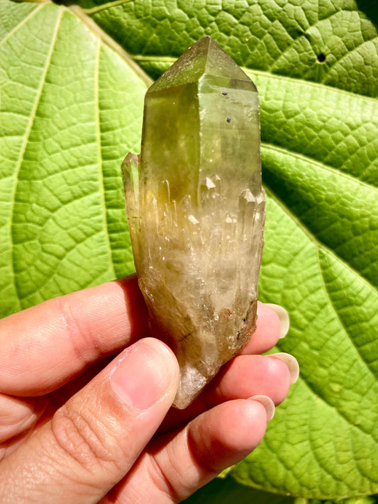 Real All Natural Citrine Point 4