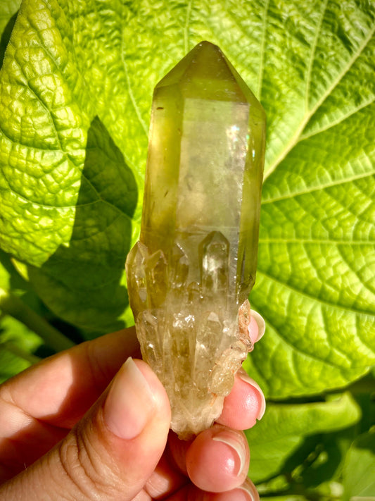 Real All Natural Citrine with Rainbow Point Crystal 14
