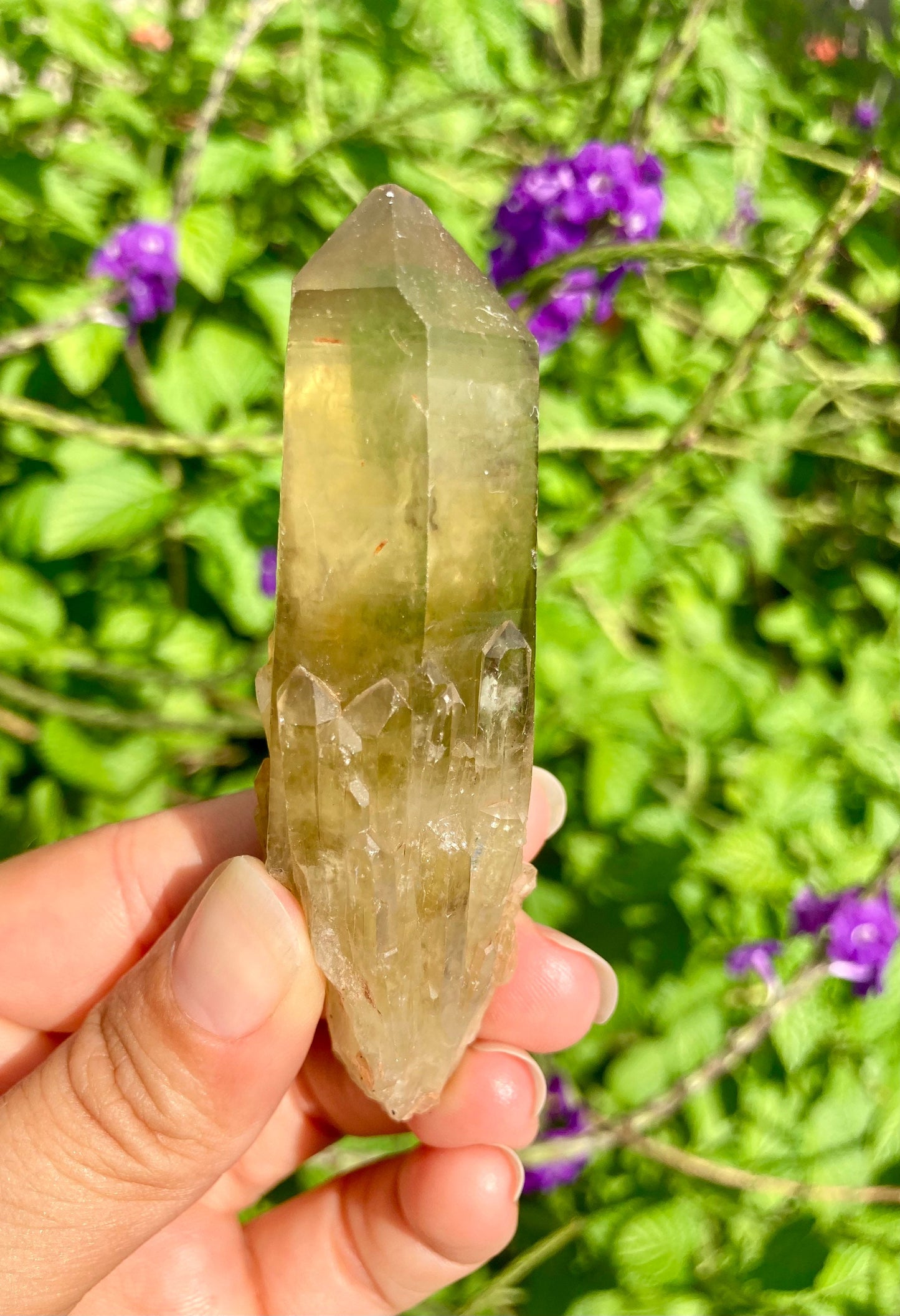 Real All Natural Citrine with Rainbow Point Crystal 14