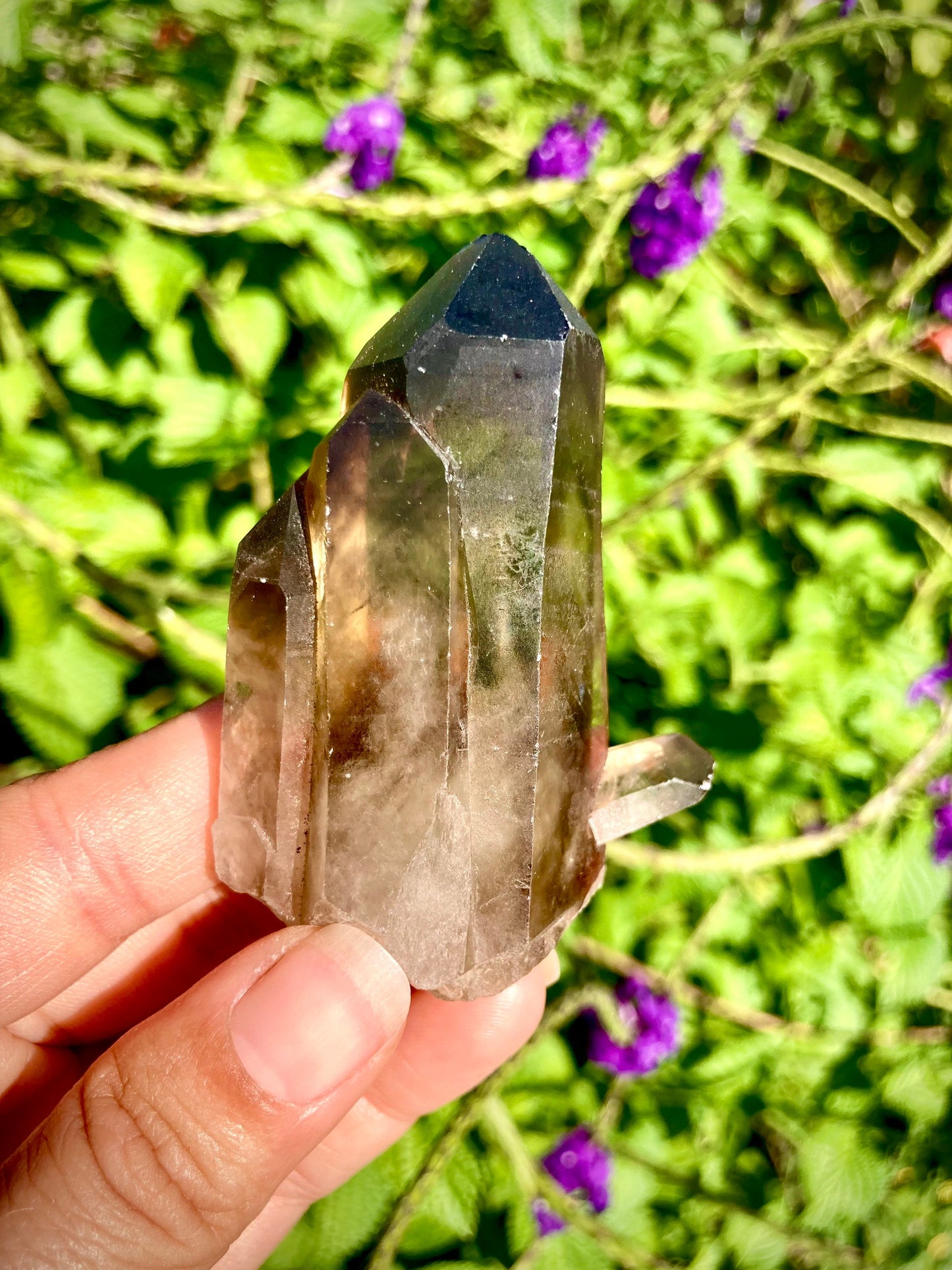Real All Natural Large Citrine Point Crystal 18