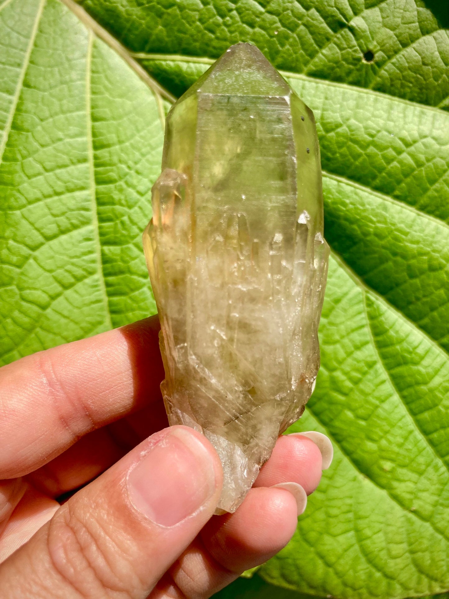 Real All Natural Citrine Point 4