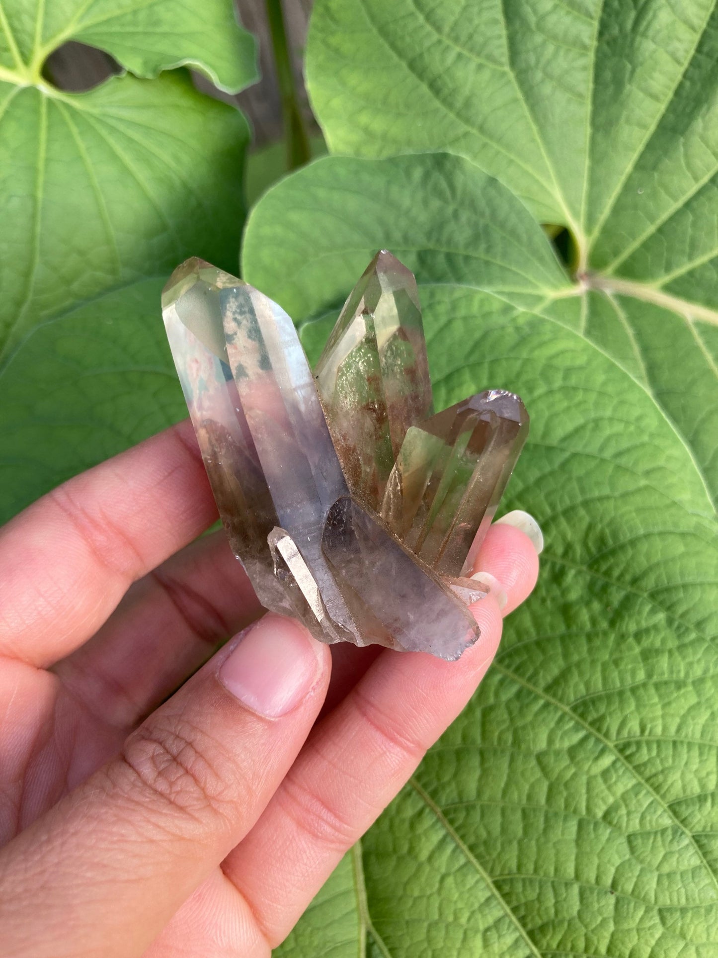 Real All Natural Citrine Points Crystal 7