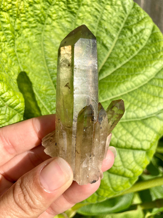 Real All Natural Citrine with a hint of Smokey Quartz Crystal 15