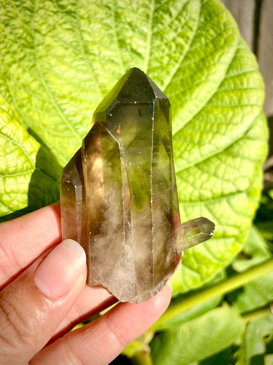 Real All Natural Large Citrine Point Crystal 18