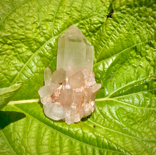 Real All Natural Citrine 28