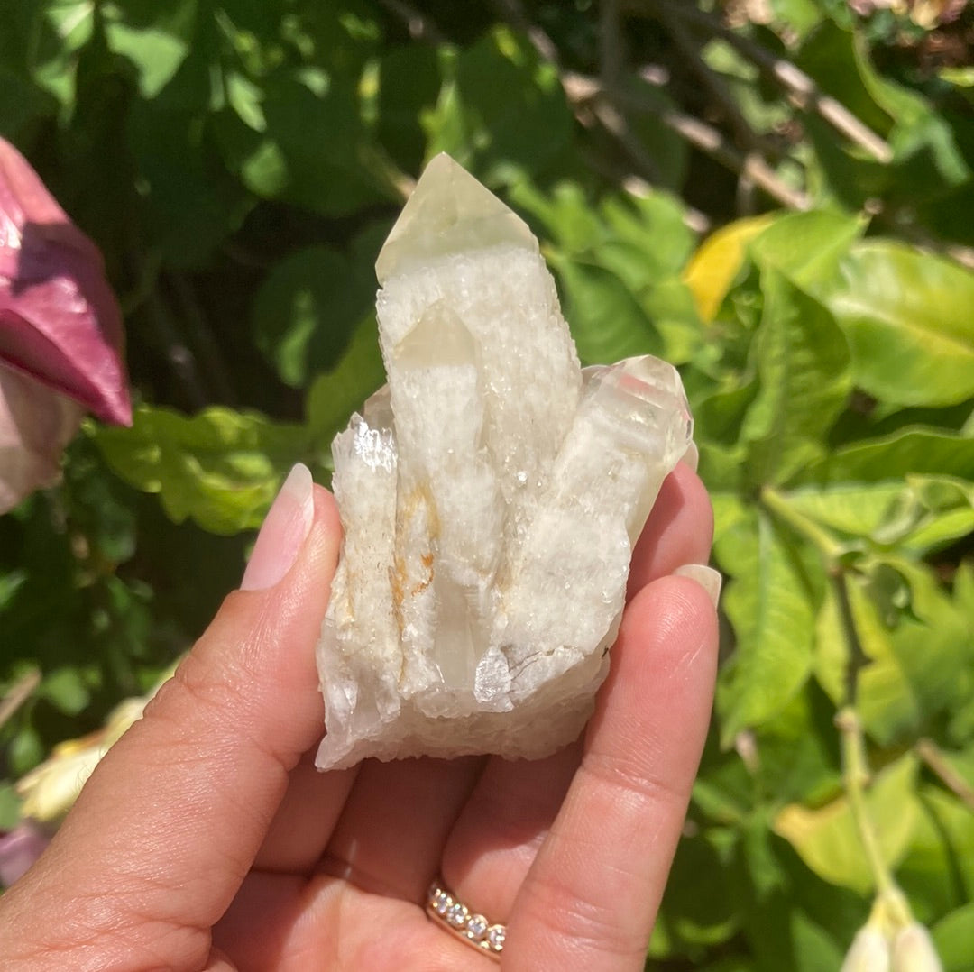 Real All Natural Citrine 25