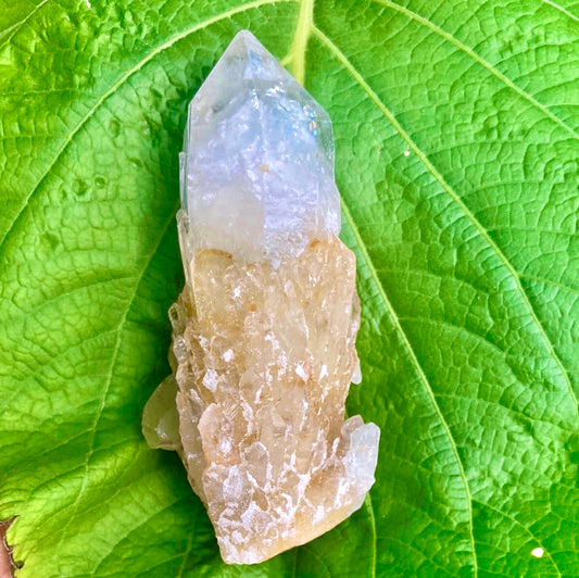 Real All Natural Large Citrine 20