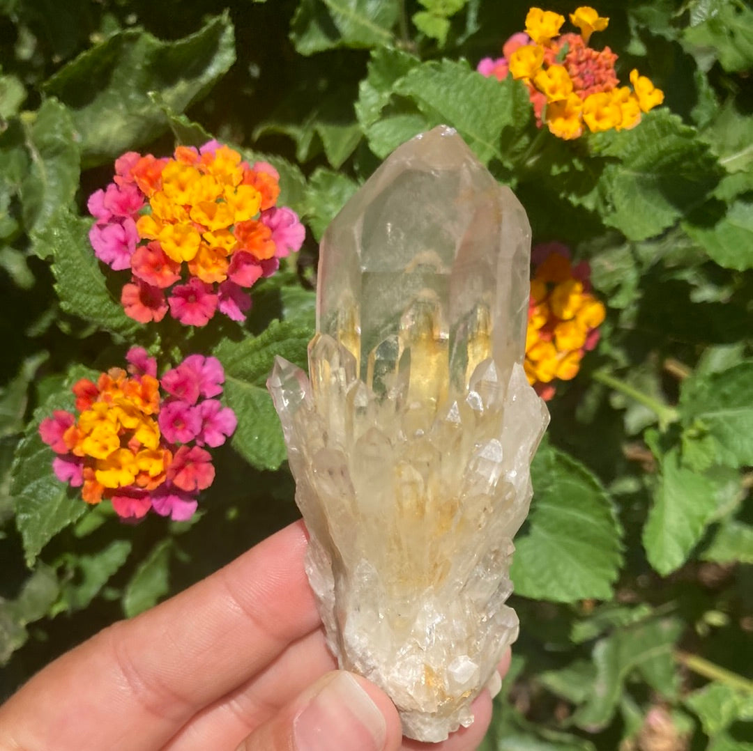 Real All Natural Gorgeous High Grade Citrine 26