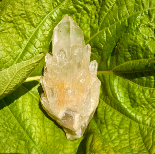 Real All Natural Gorgeous Citrine 32