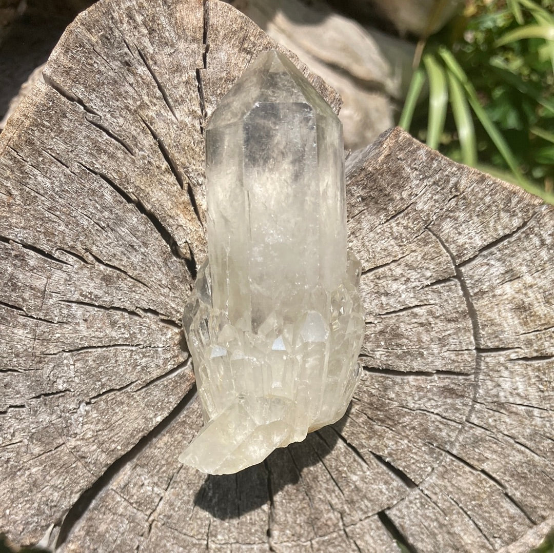 Real All Natural Citrine 24