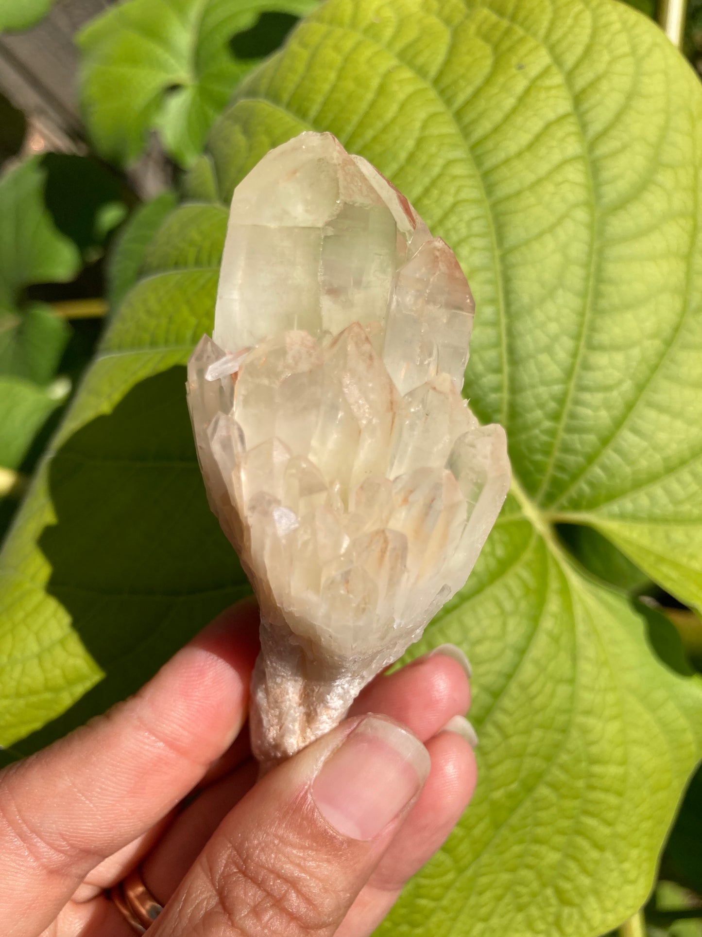 Amazing Gorgeous High Grade All Natural Real Citrine 4