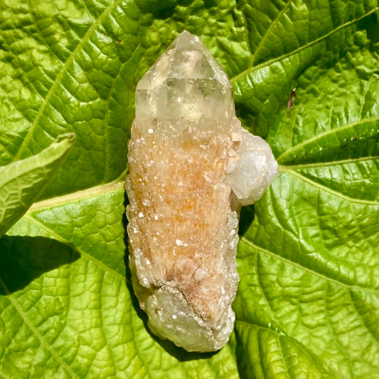 Real All Natural Citrine 29