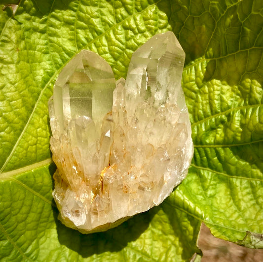 Real All Natural Citrine 36