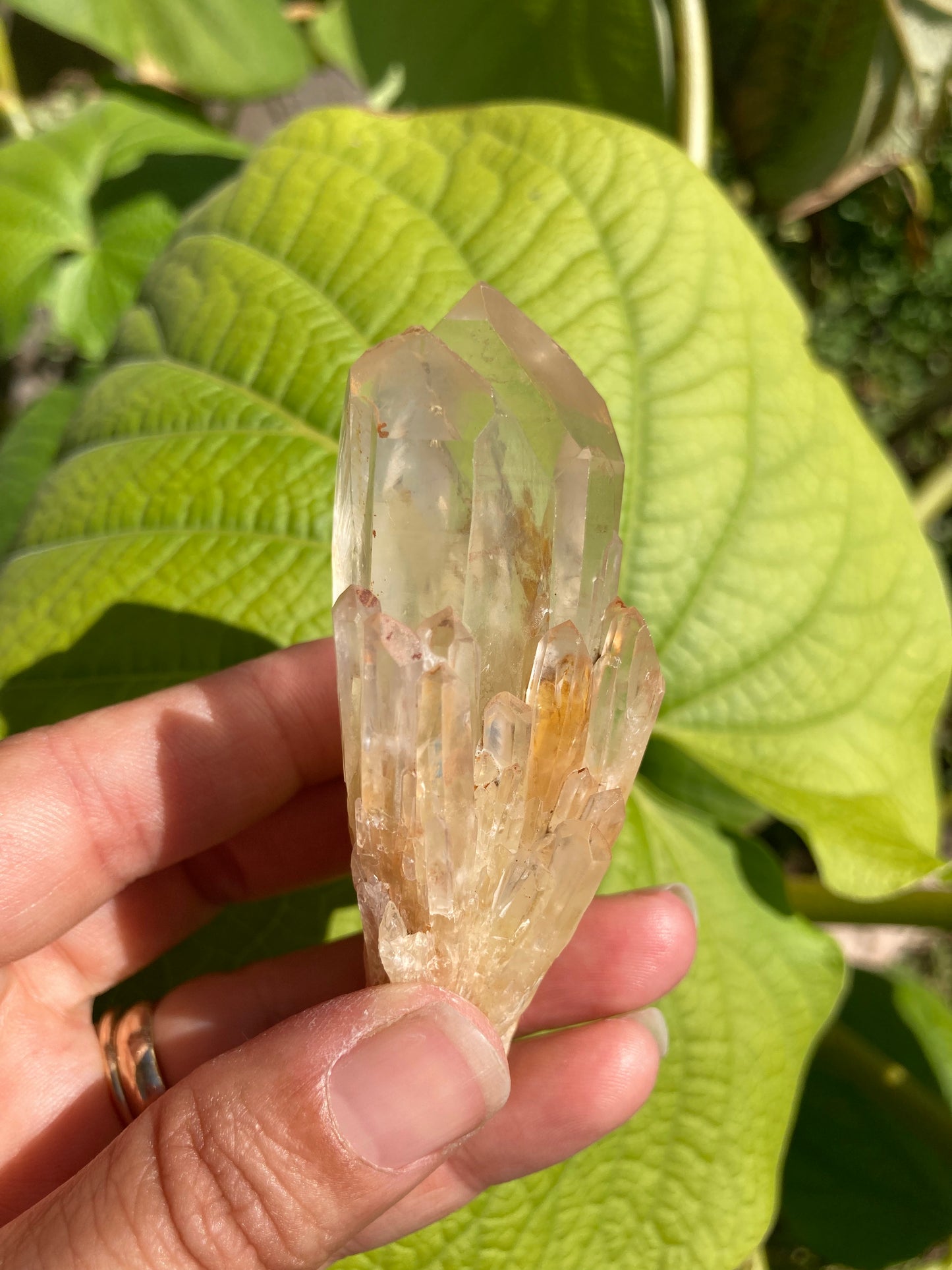 AMAZING High Grade Gorgeous Soulmate ALL Natural Real Citrine 8