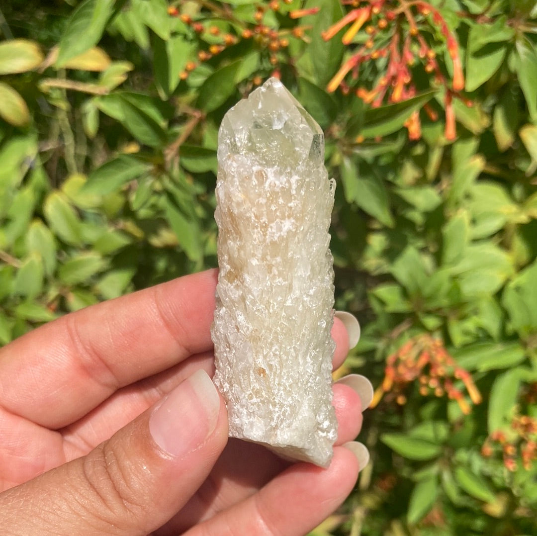 Real All Natural Citrine 35