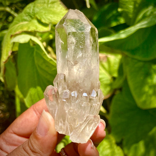 Real All Natural Citrine 24