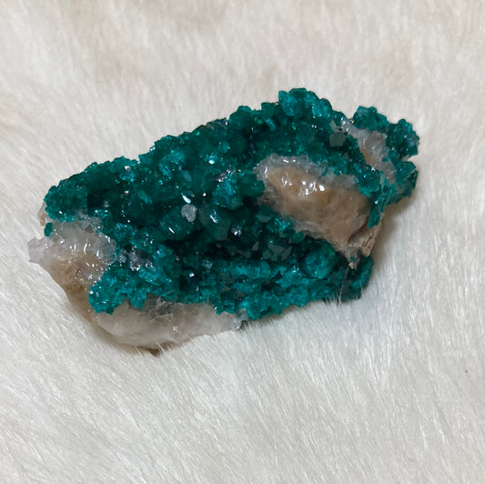 Super Gorgeous High Grade Dioptase 11