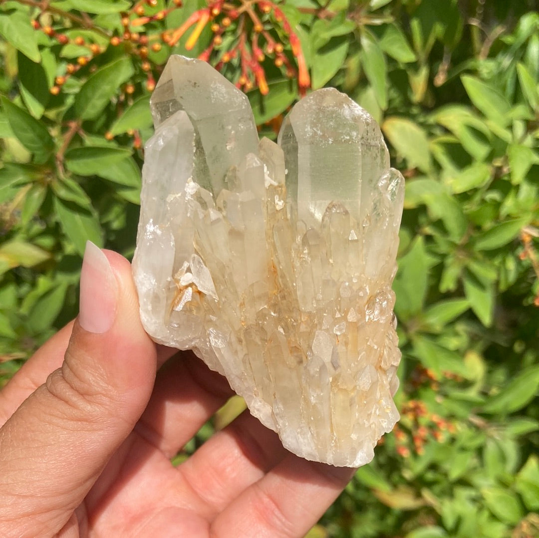 Real All Natural Citrine 36