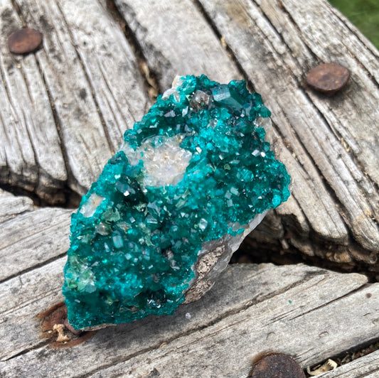 Gorgeous High Grade Dioptase 15