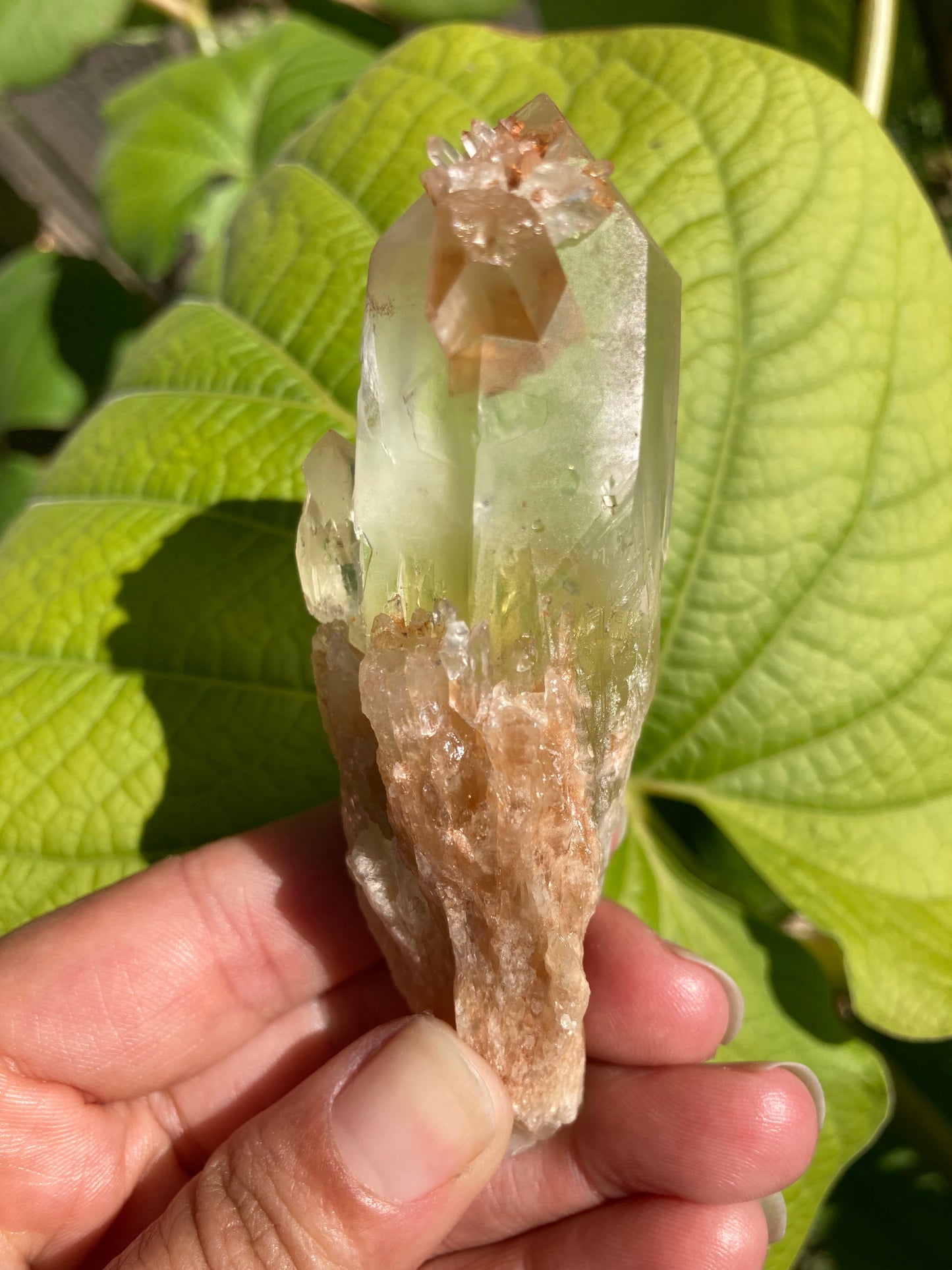 High Grade Gorgesou Real All Natural Citrine 3