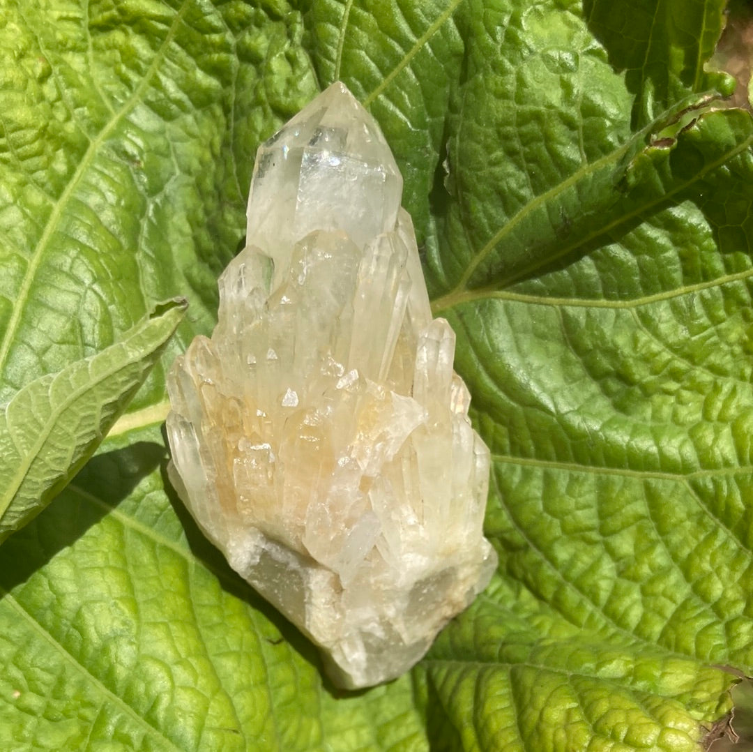 Real All Natural Gorgeous Citrine 32