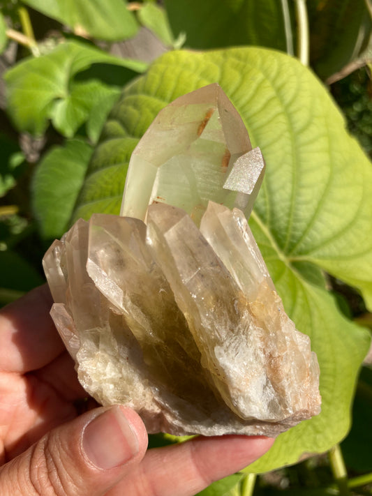 Amazing High Grade Gorgeous Real All Natural Citrine 7