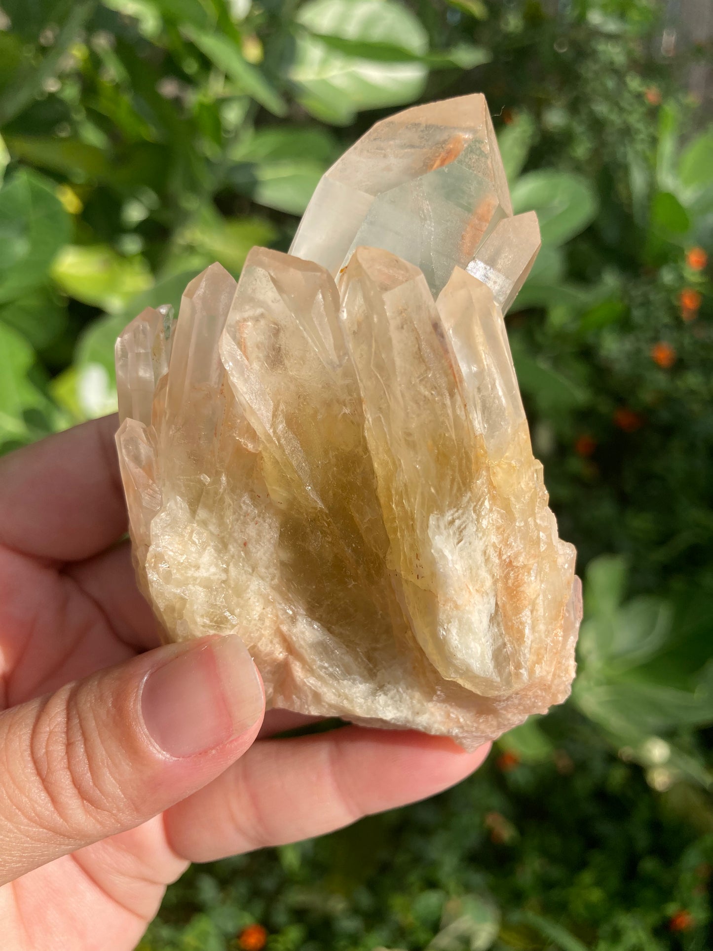Amazing High Grade Gorgeous Real All Natural Citrine 7