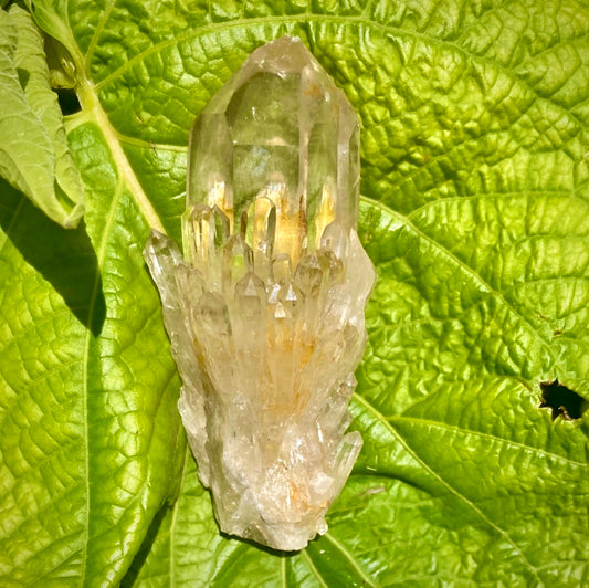 Real All Natural Gorgeous High Grade Citrine 26