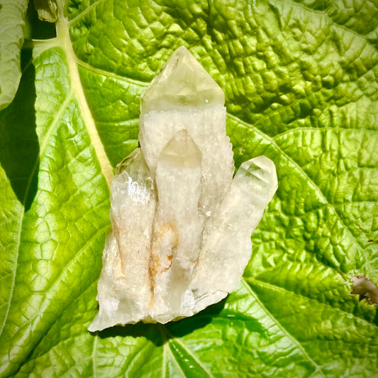 Real All Natural Citrine 25