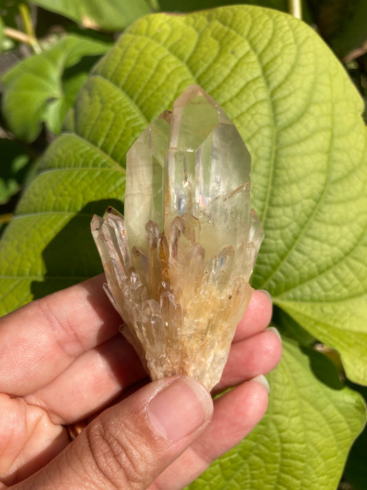 AMAZING High Grade Gorgeous Soulmate ALL Natural Real Citrine 8