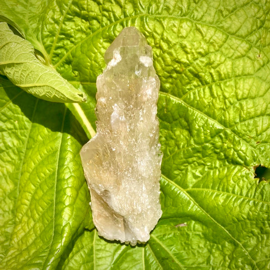 Real All Natural Citrine 27