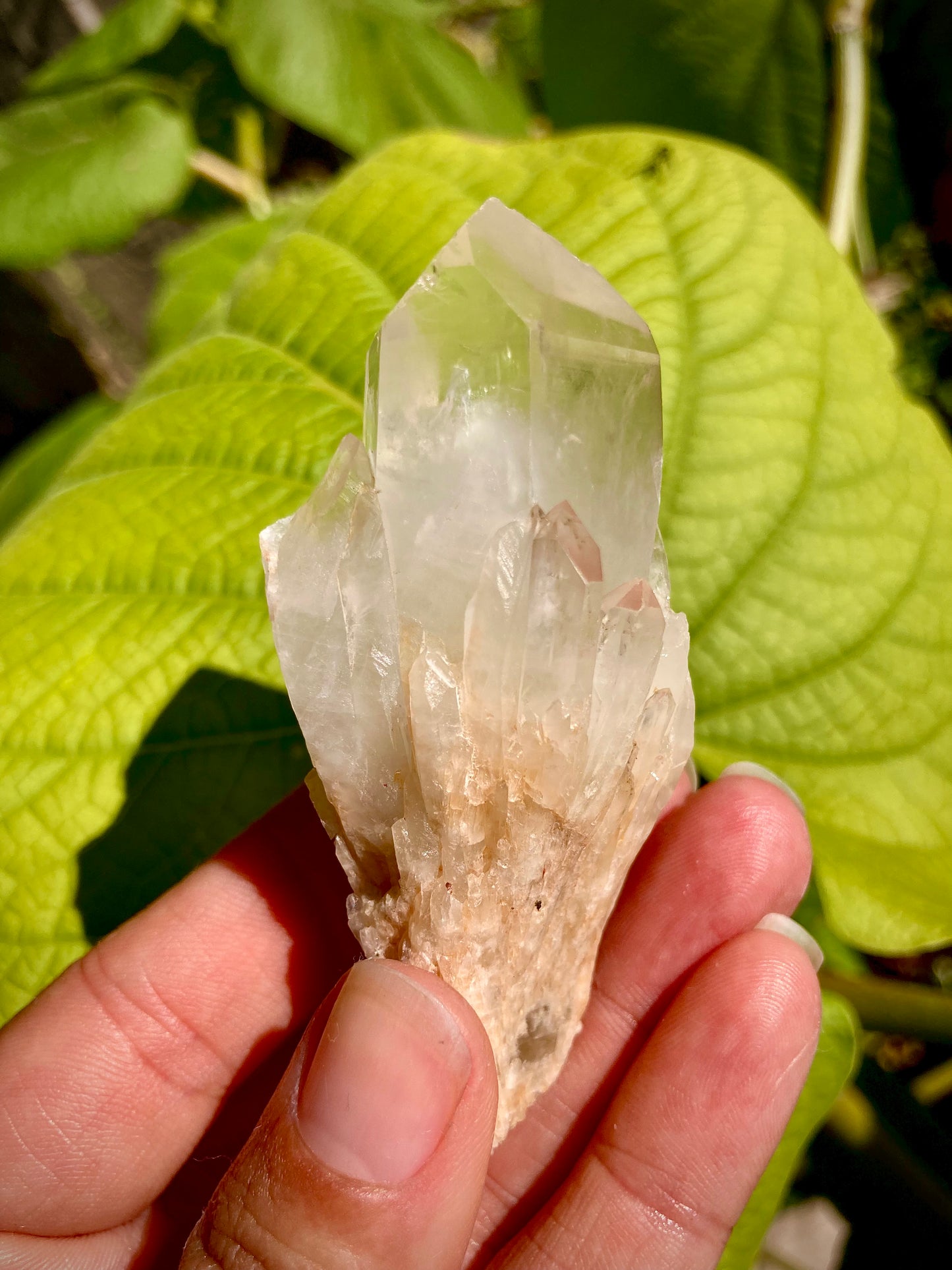 High Grade Gorgeous All Natural Citrine 1