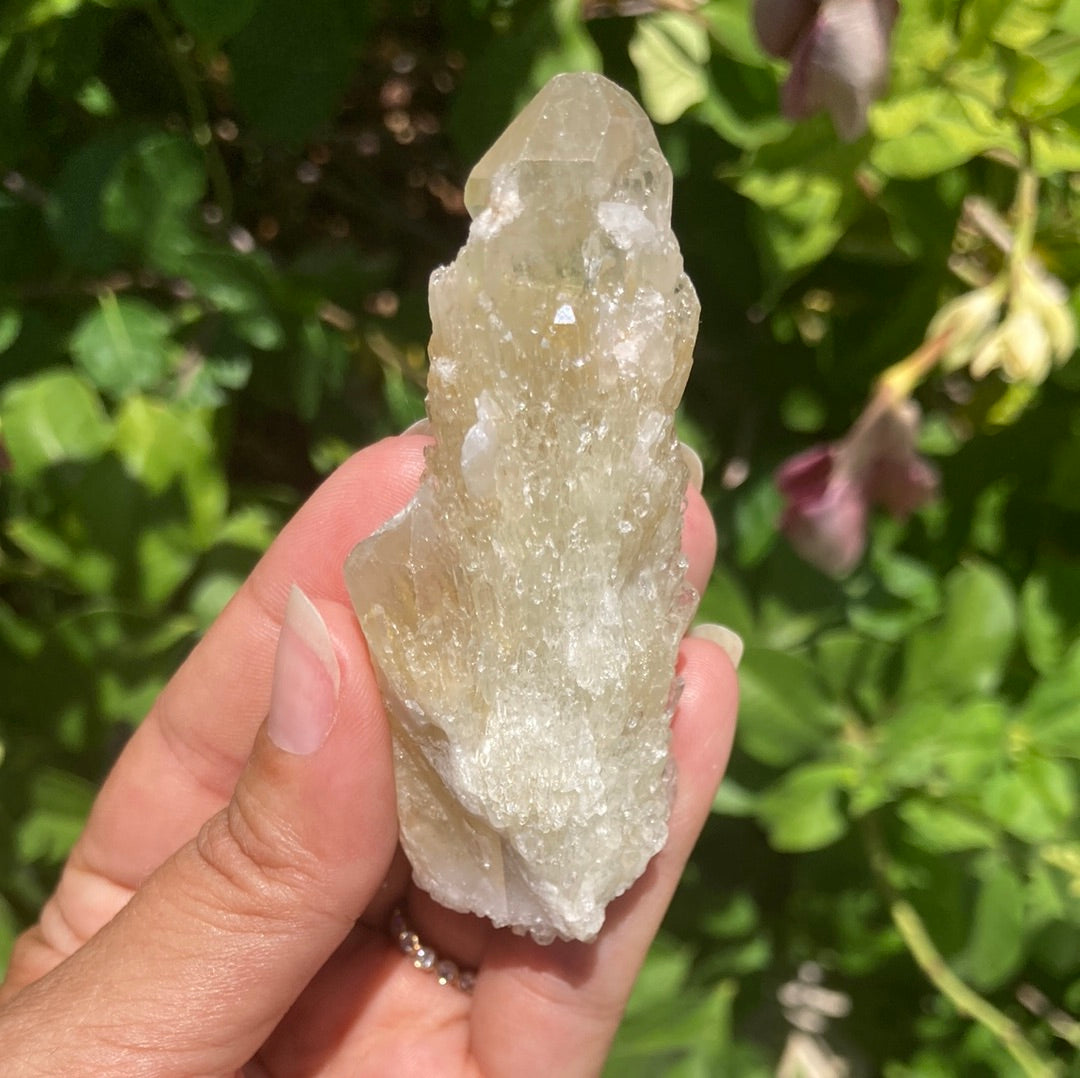 Real All Natural Citrine 27