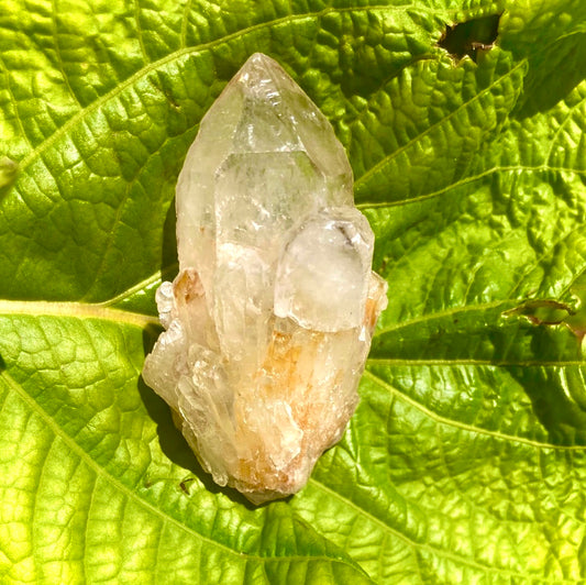 Real All Natural Citrine 30