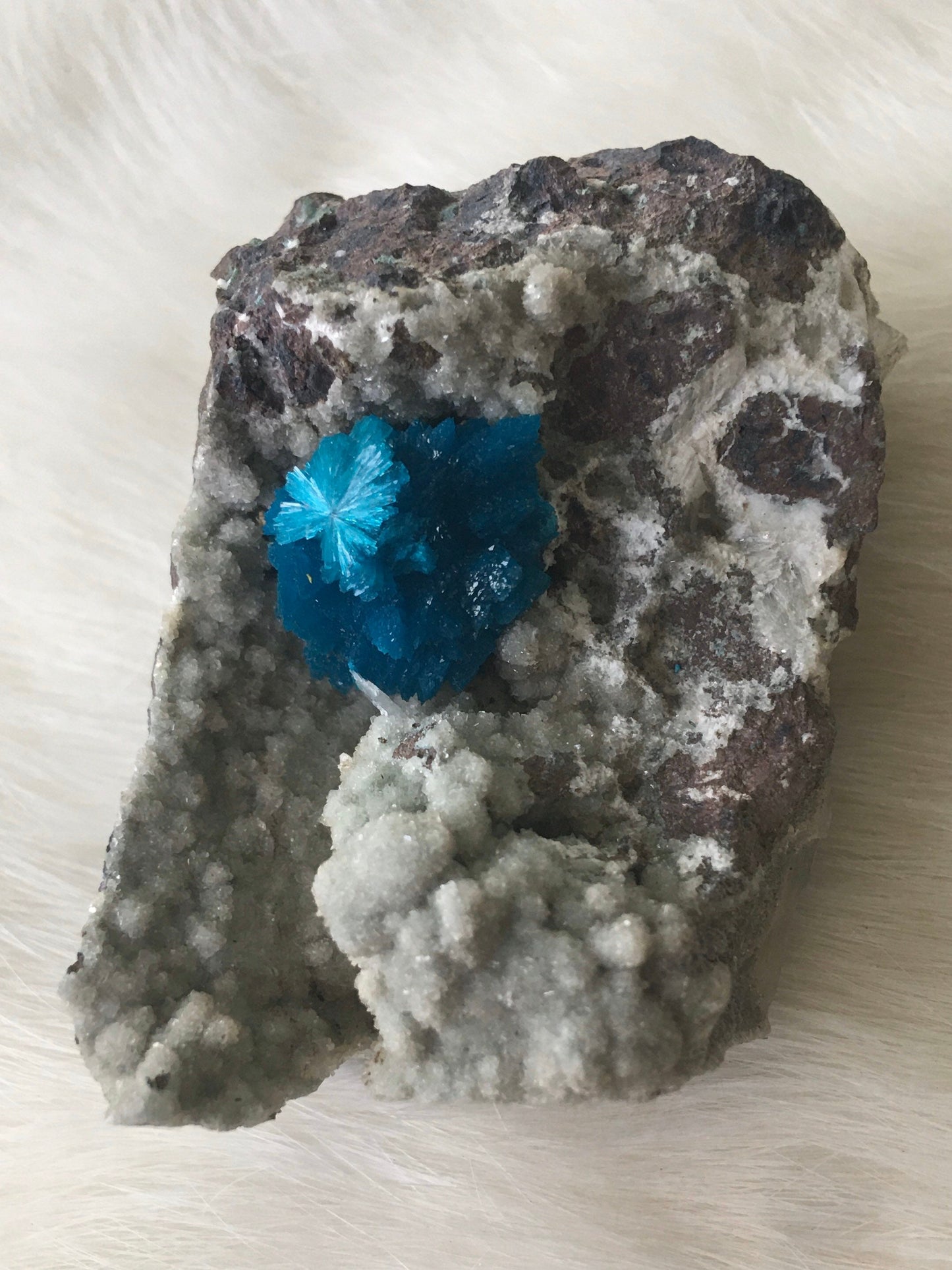 High Grade Cavansite RARE Mineral/Healing Crystal 3