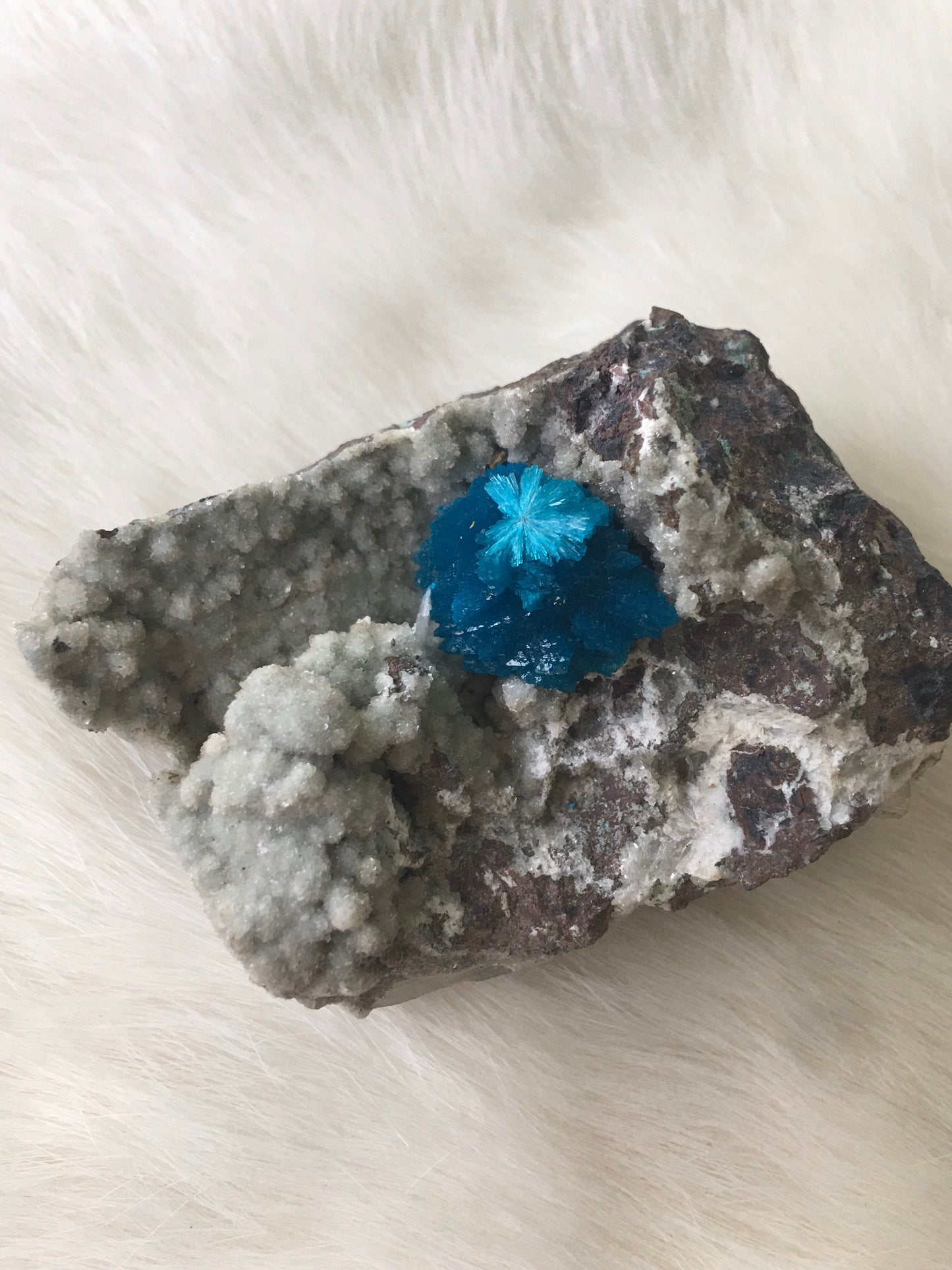 High Grade Cavansite RARE Mineral/Healing Crystal 3