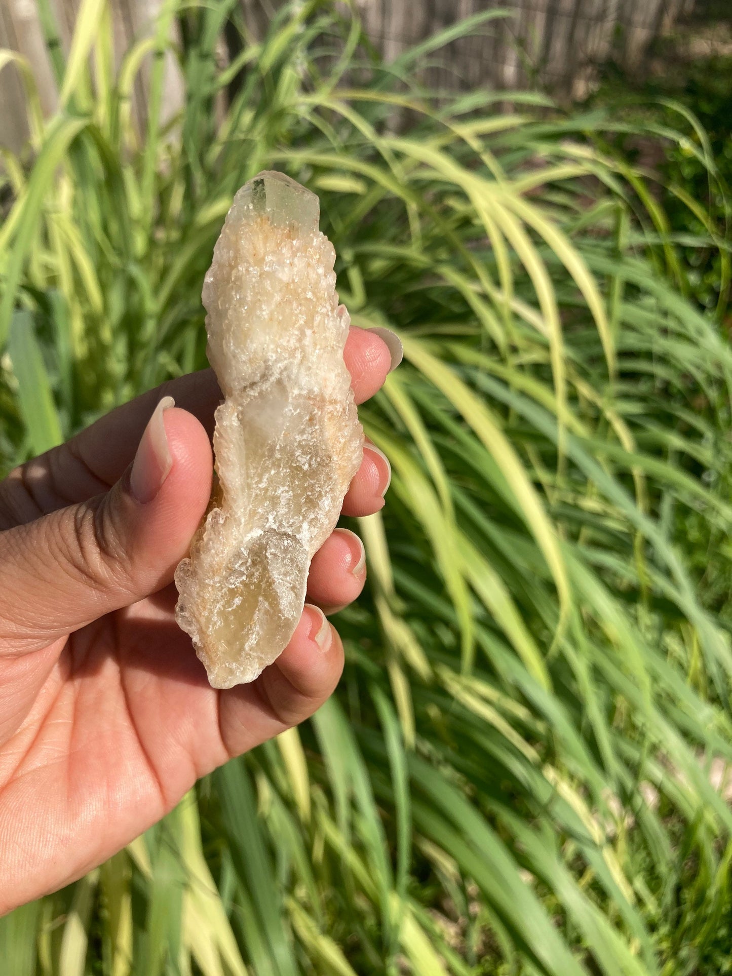 Real ALL Natural Citrine Crystal 19