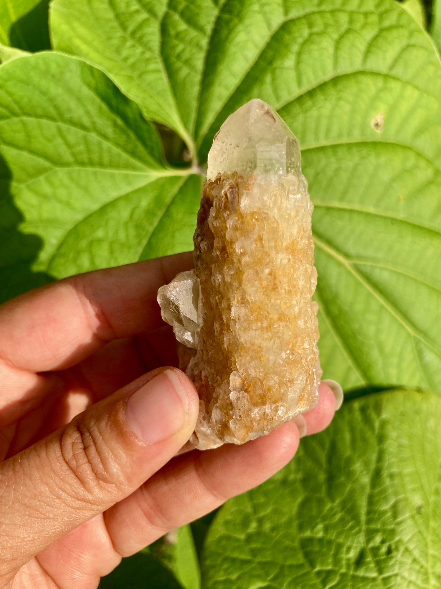 Real ALL Natural Citrine Crystal 43