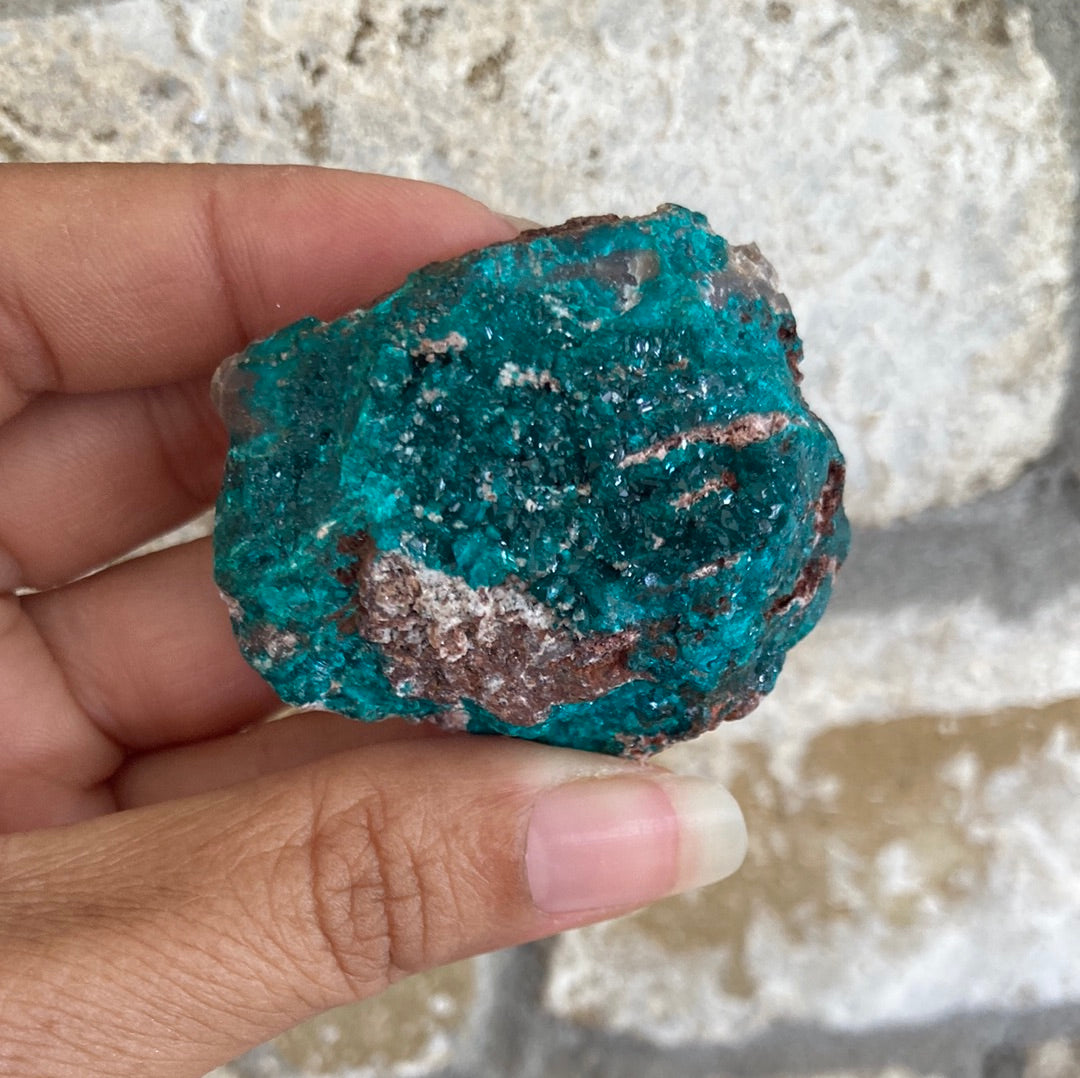 Gorgeous High Grade Dioptase 10