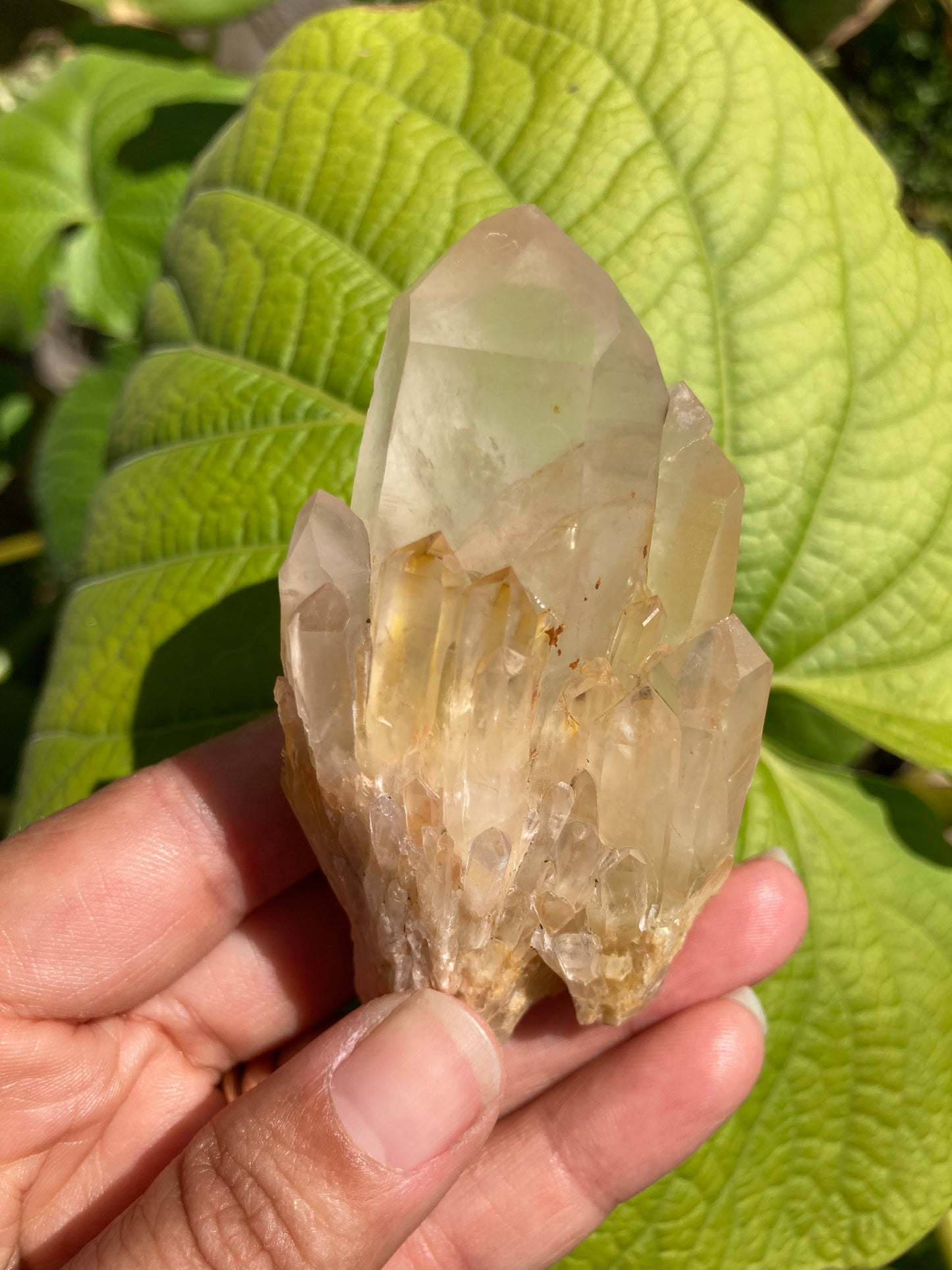 High Grade Gorgeous Real All Natural Citrine 5