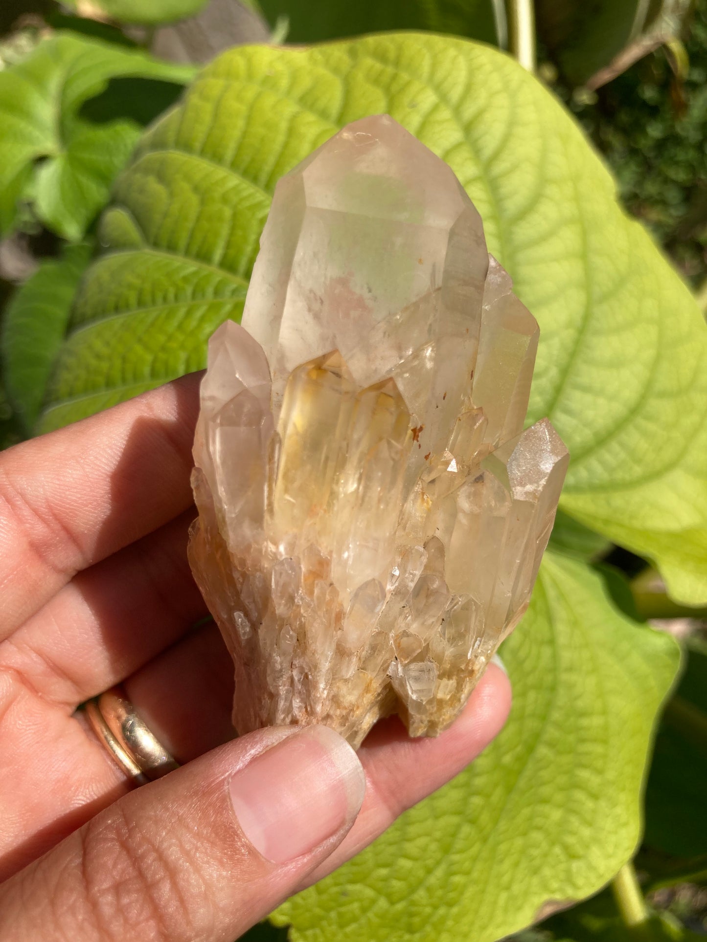 High Grade Gorgeous Real All Natural Citrine 5